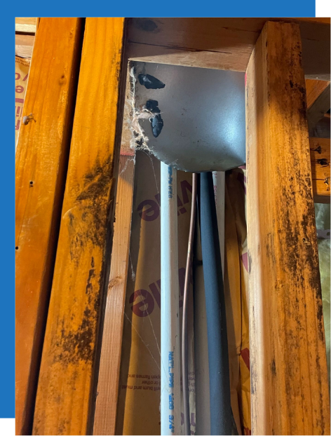 Mold Remediation NJ 2 Damage restoration