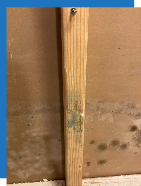 water damage restorstion