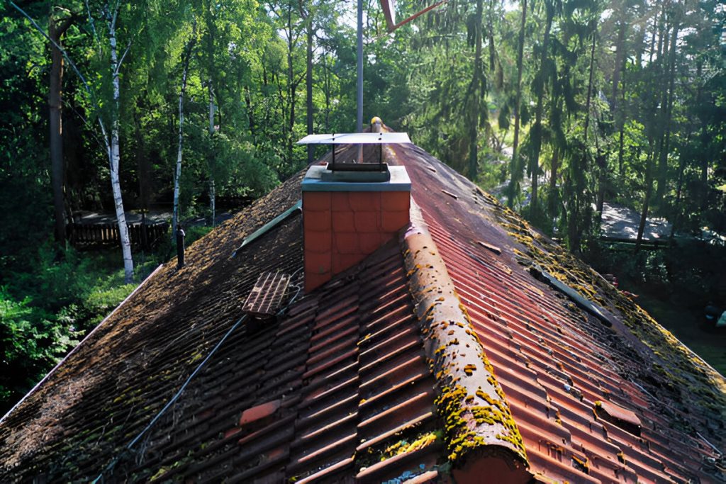 chimney inspection