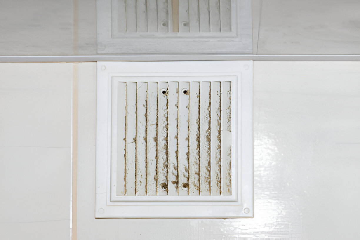 Dryer vent