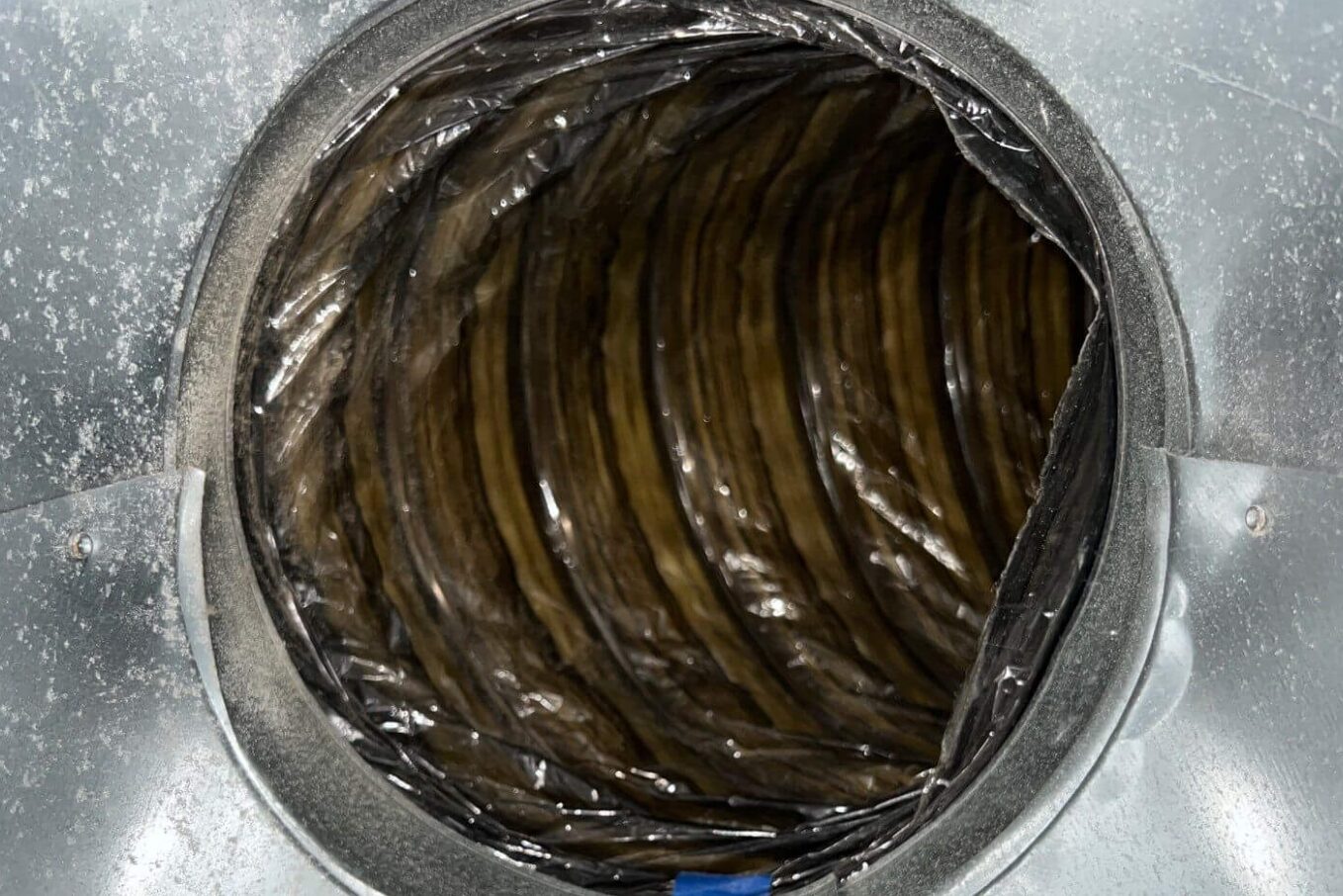 Alpha clean air 4
