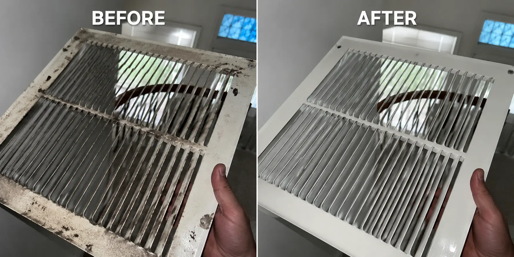 alpha clean air 24