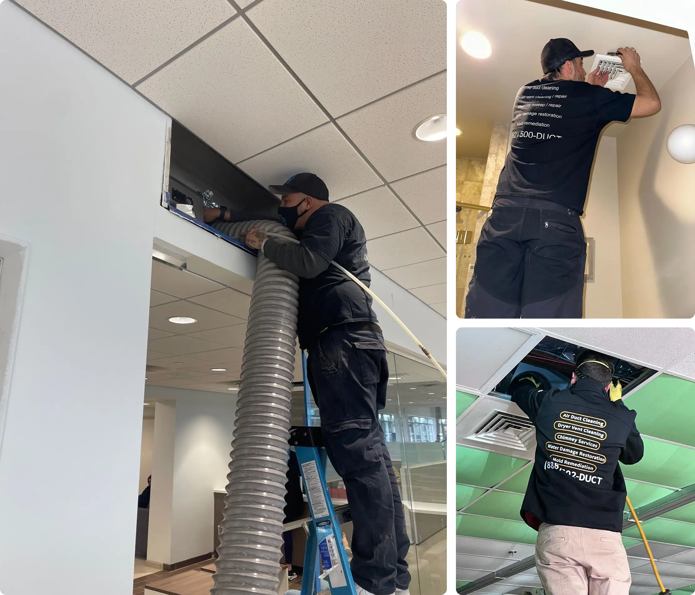 alpha clean air ductcleaing